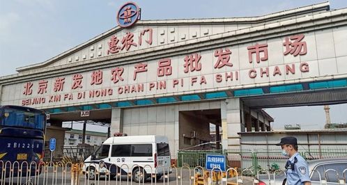 深夜發布 豐臺區副區長等被免職，食用農產品批發市場監管再響警鐘