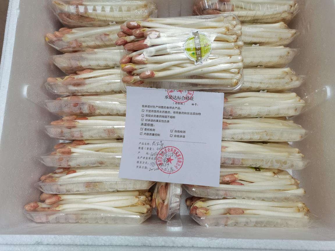 推進承諾達標合格證制度 守護“舌尖上的安全”——食用農(nóng)產(chǎn)品批發(fā)專項行動紀實